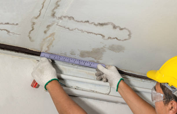 Reliable Mold Remediation contractor in New Hampton, NH by Water Damage Irwin